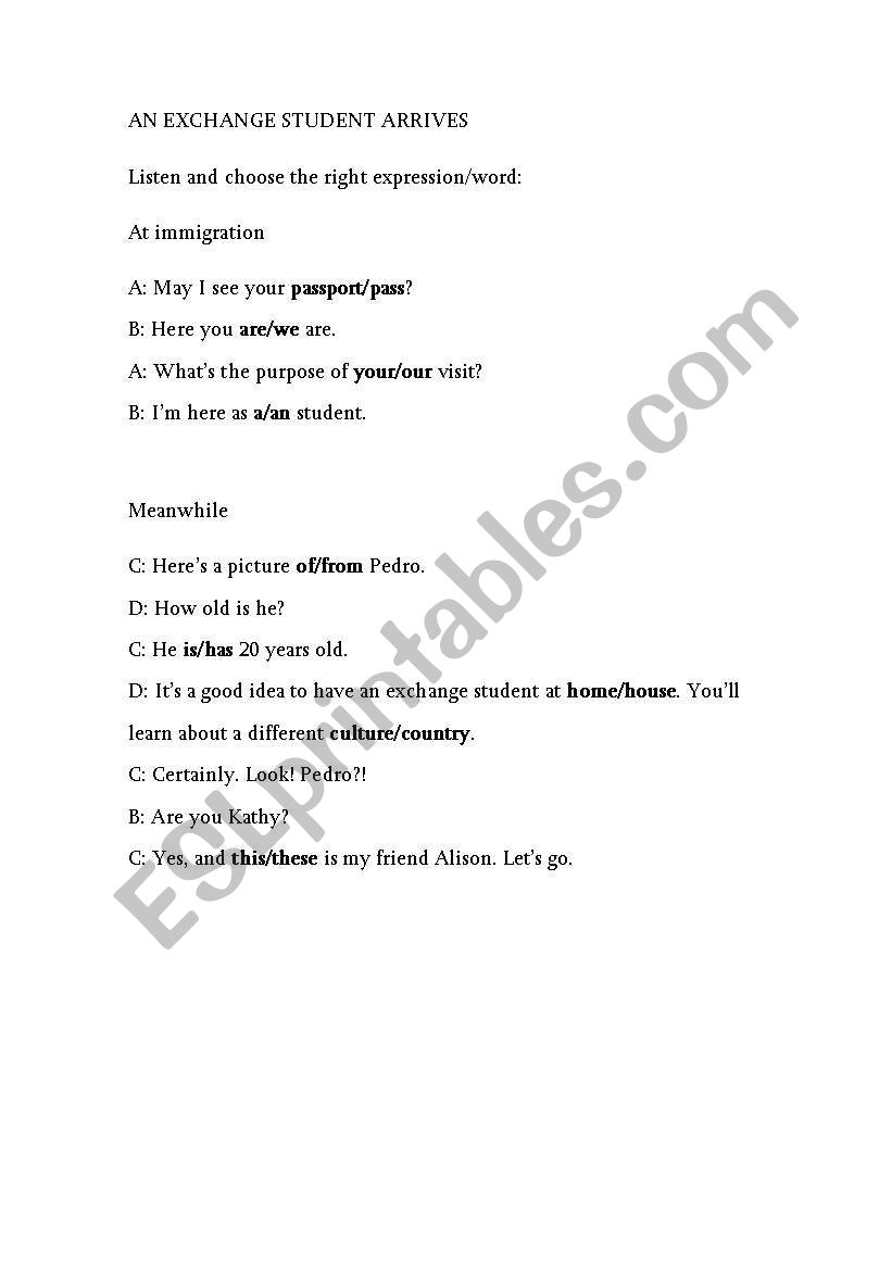 AN EXCHANGE STUDENT ARRIVES worksheet