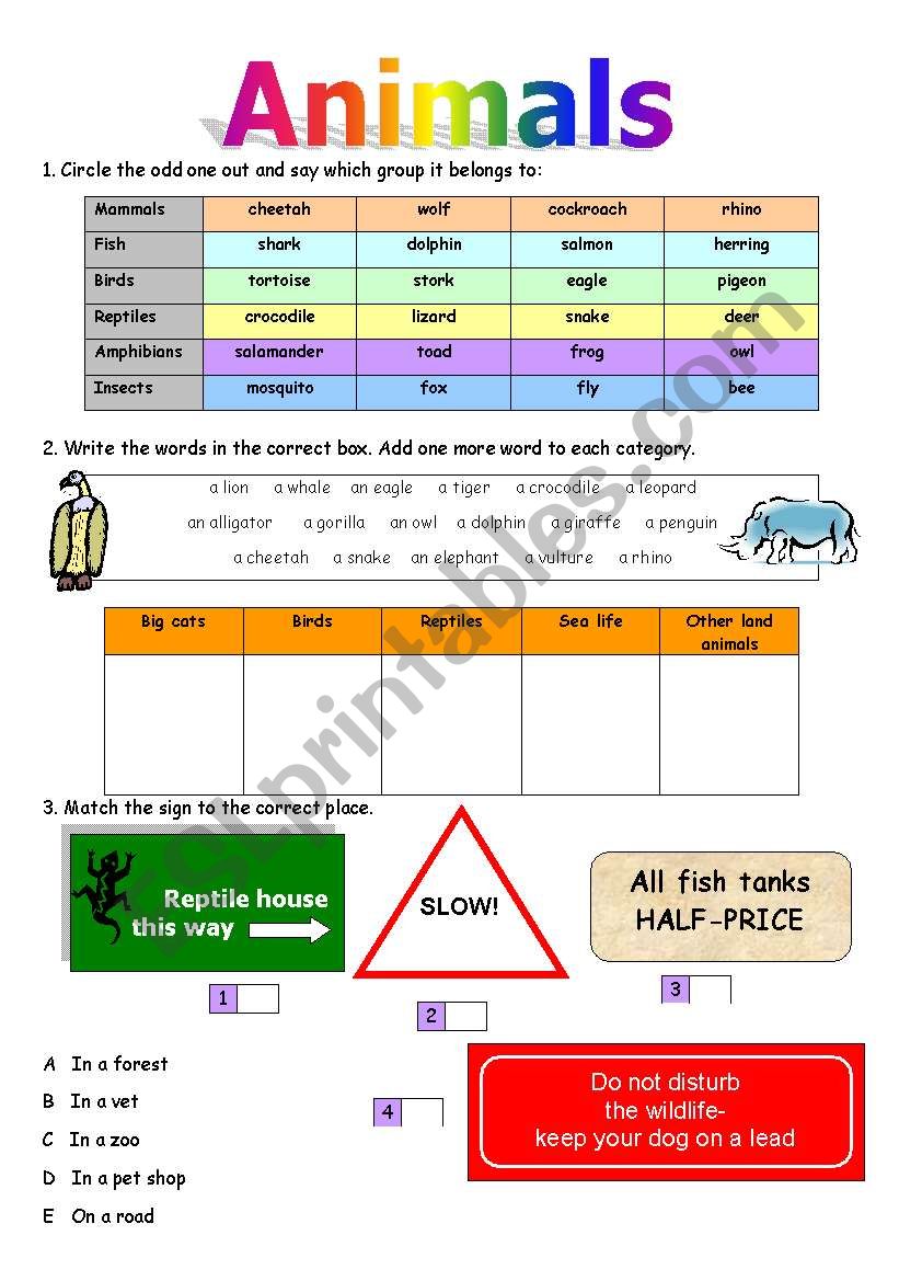 ANIMALS worksheet