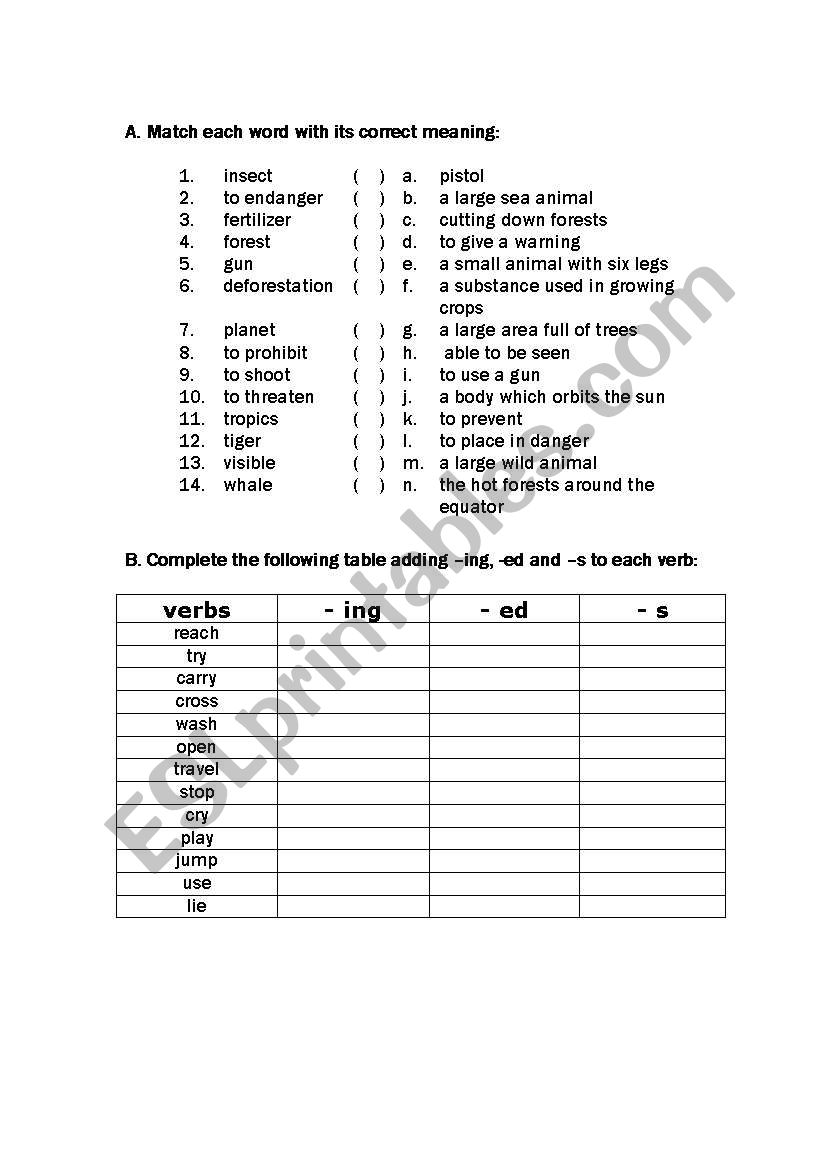 vocabulary worksheet