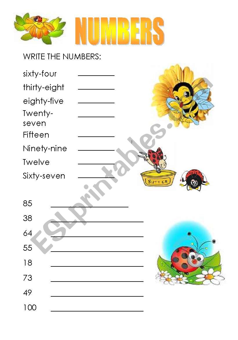 NUMBERS worksheet