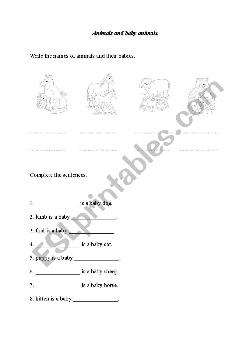 animals and baby animals worksheet