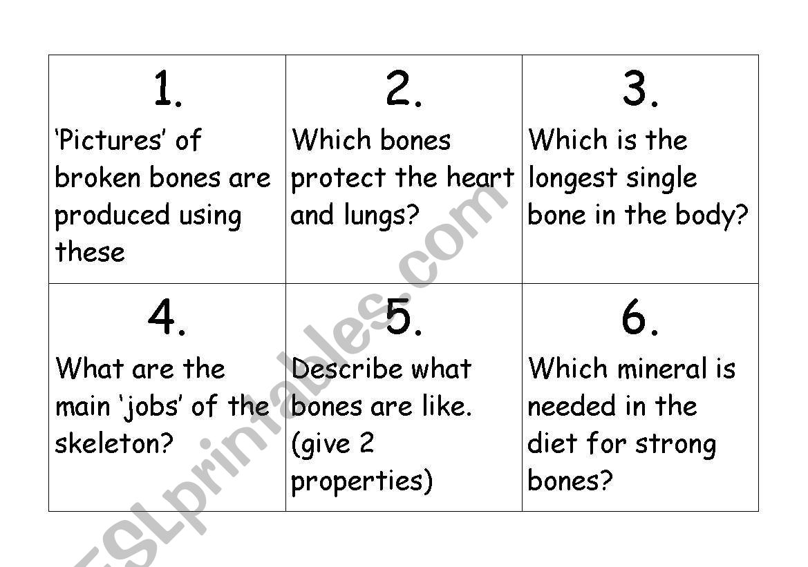 Parts of the body treasure hunt