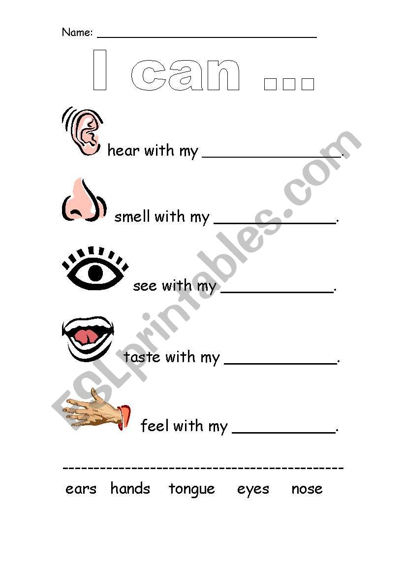 My five Senses worksheet