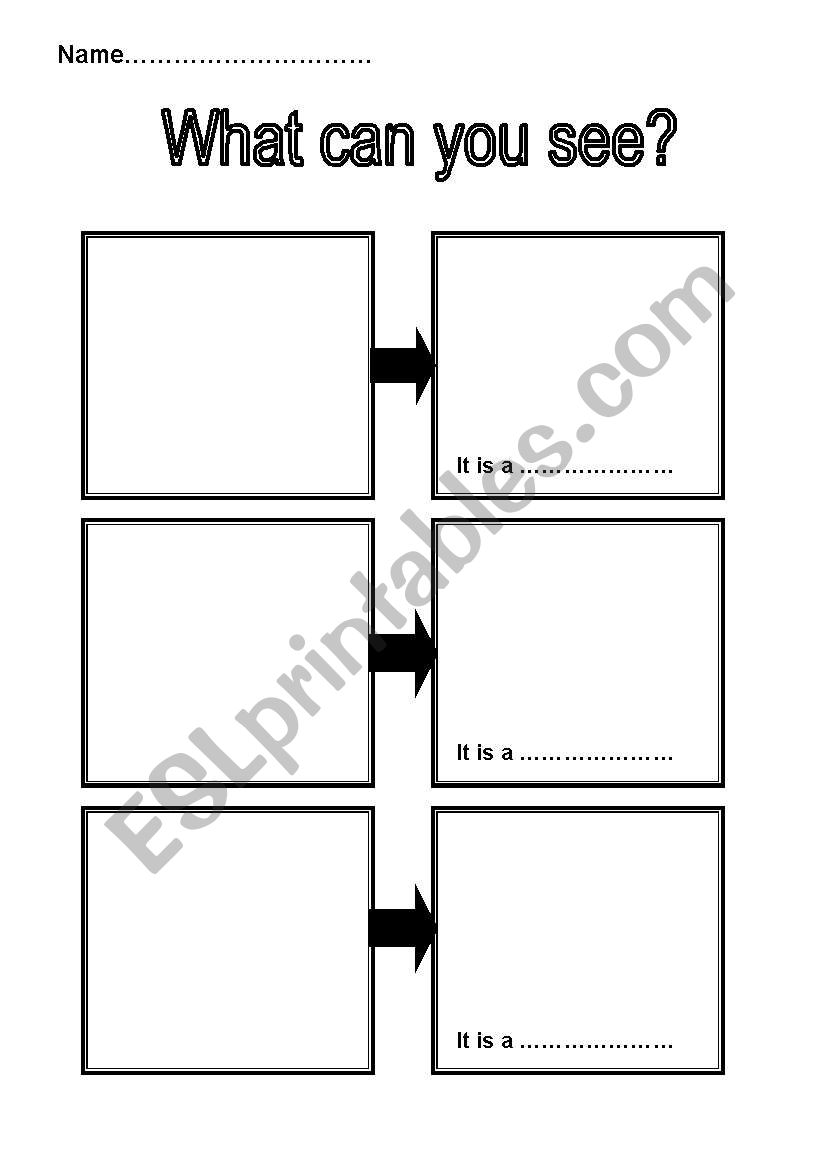 What can you see? worksheet