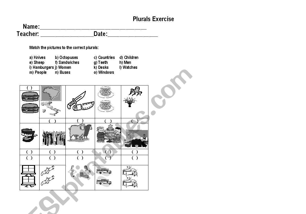 Plurals 2 worksheet