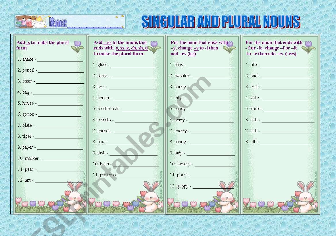 singular and plural nouns worksheet