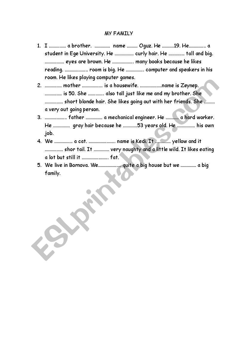 Subject Pronouns, Possesive adjectives, havehas