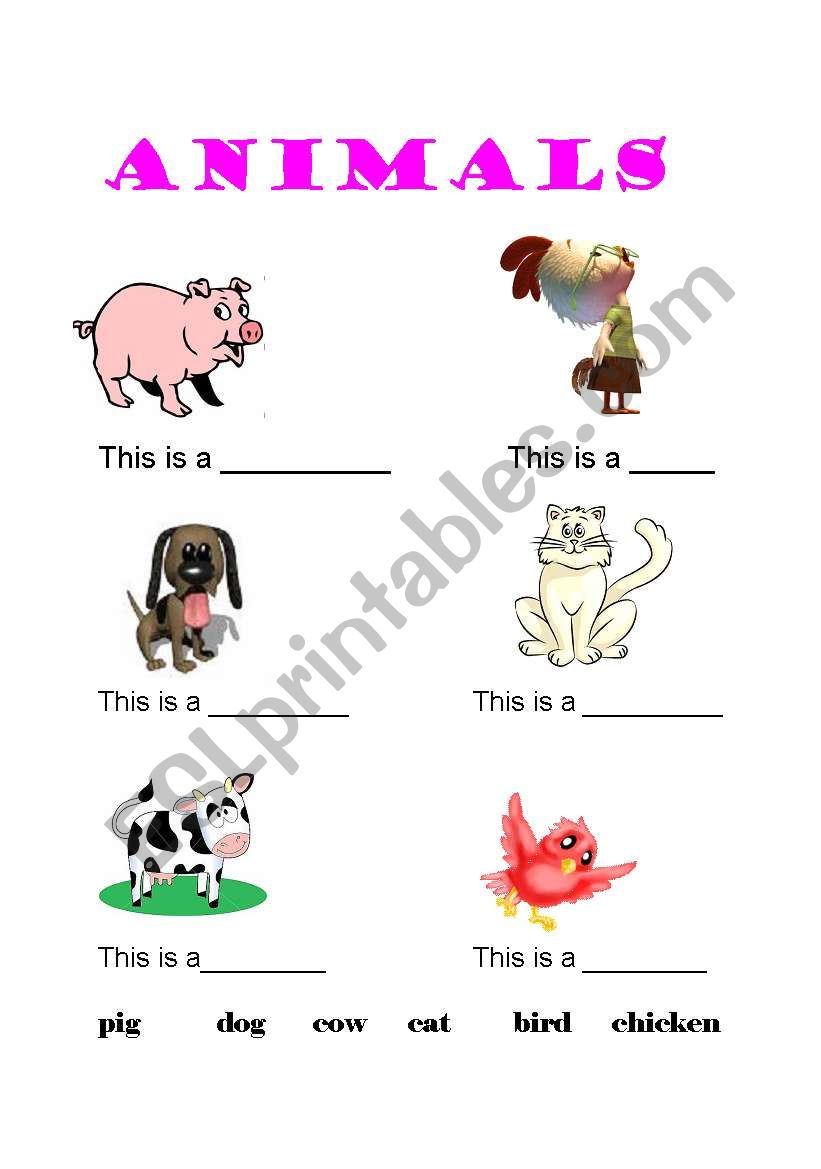 Animals worksheet