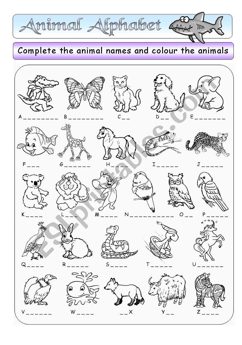 Animal Alphabet (+ BW + Key) - ESL worksheet by funki