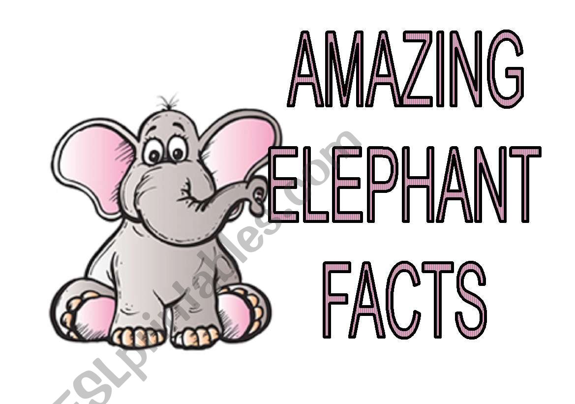 Amazing Elephants Facts worksheet