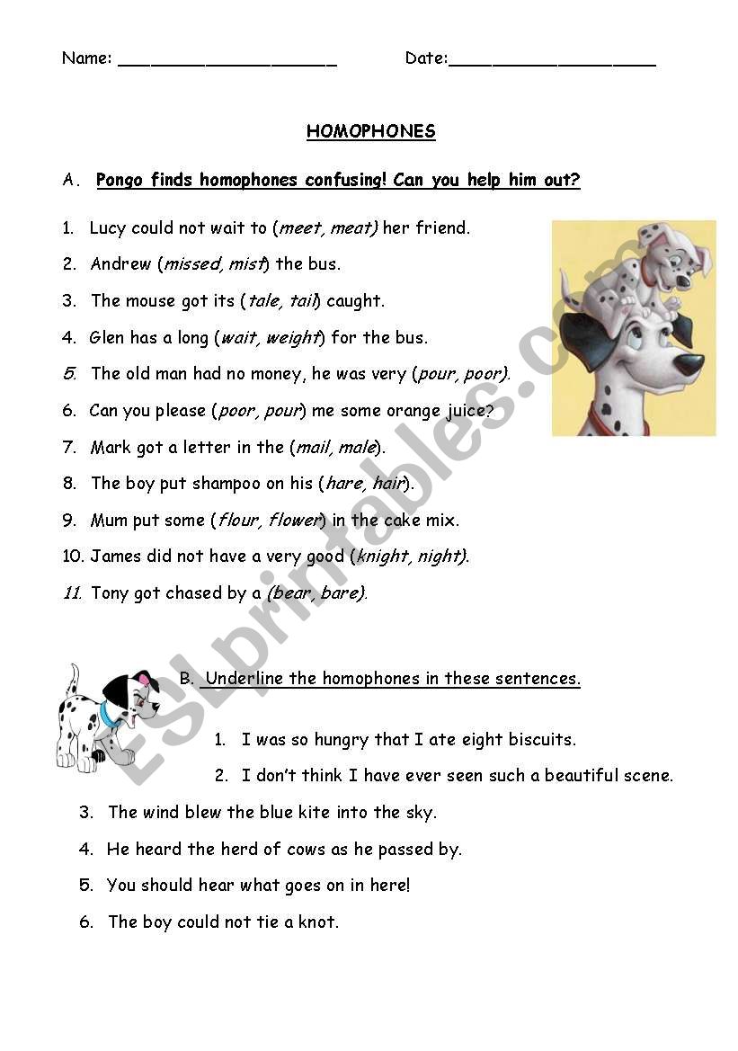 HOMOPHONES - ANIMALS worksheet