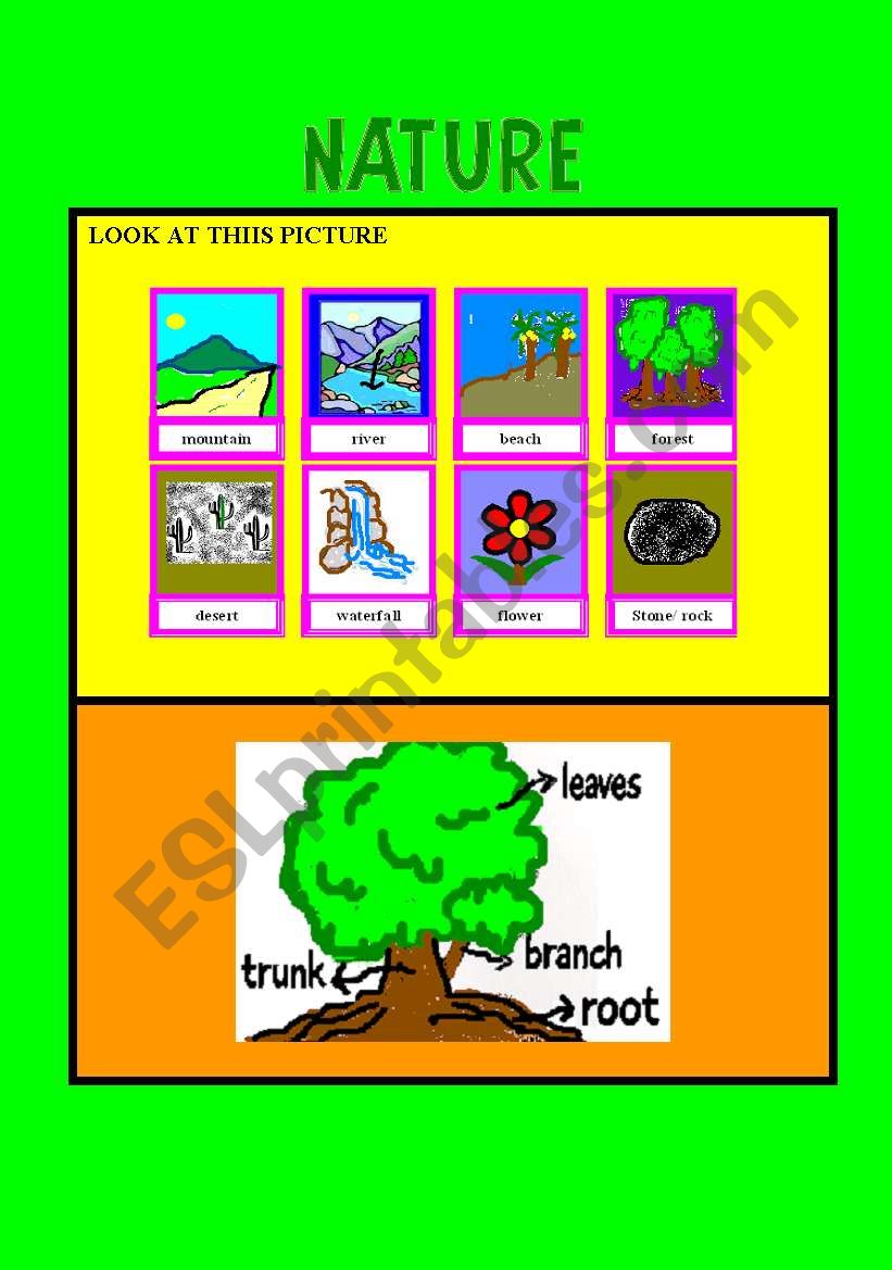 Nature- Handout worksheet