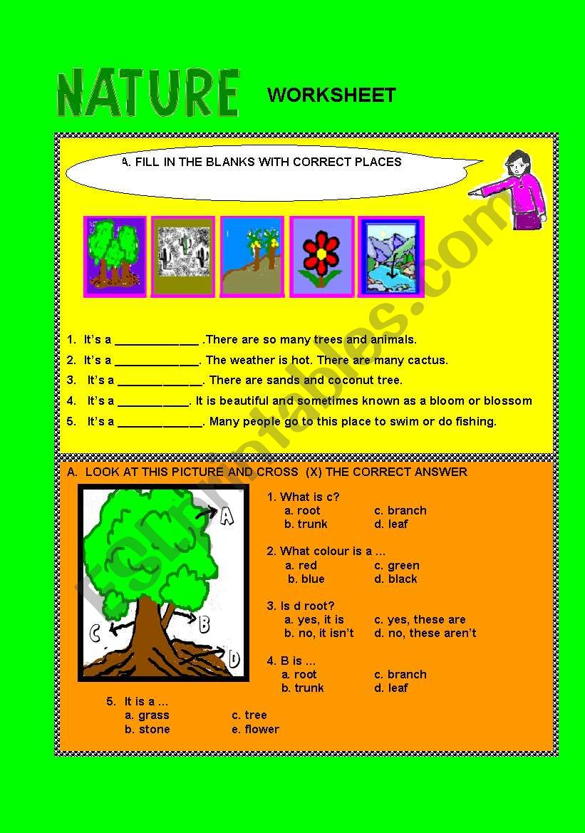 Nature - worksheet worksheet