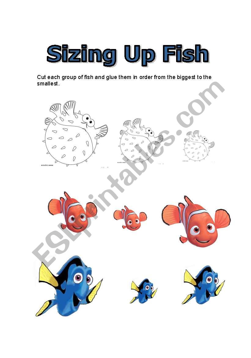 sizing up fish worksheet