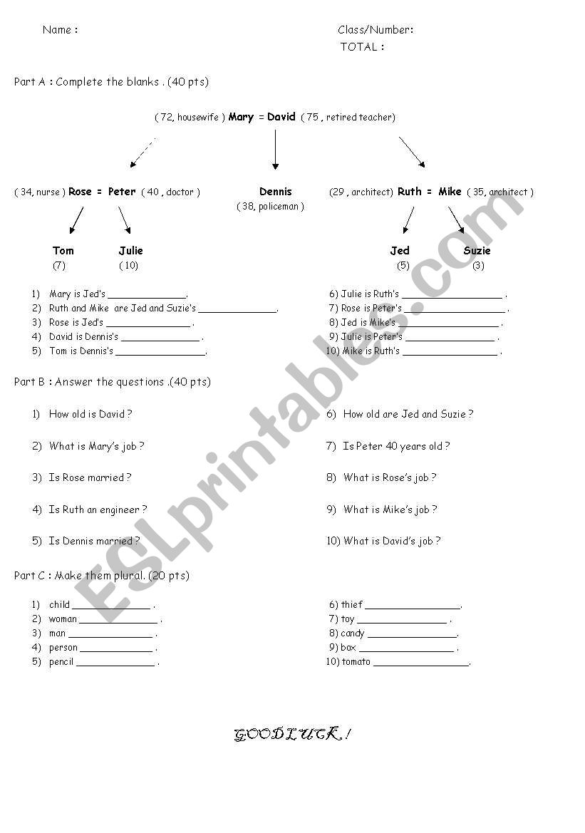 A quiz for elementary classes worksheet