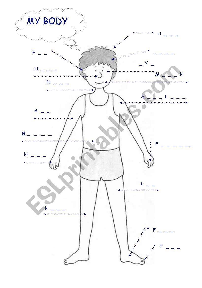 my body 2 worksheet