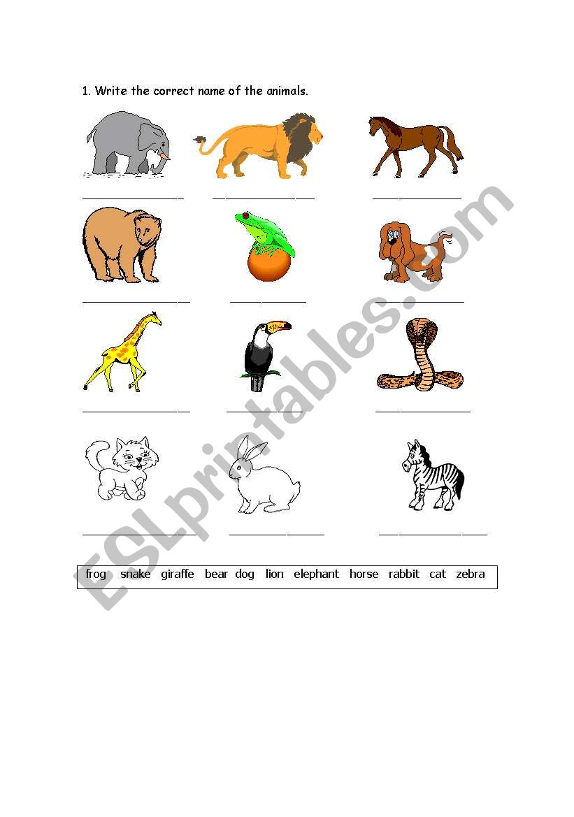 Animals worksheet