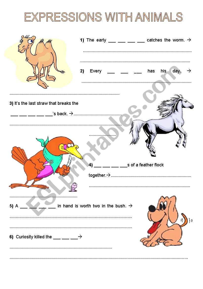 Idioms with animals worksheet