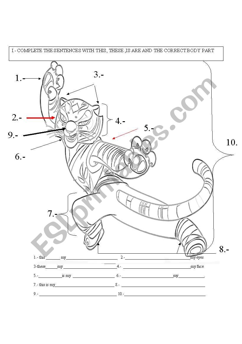 MASTER TIGRESS worksheet