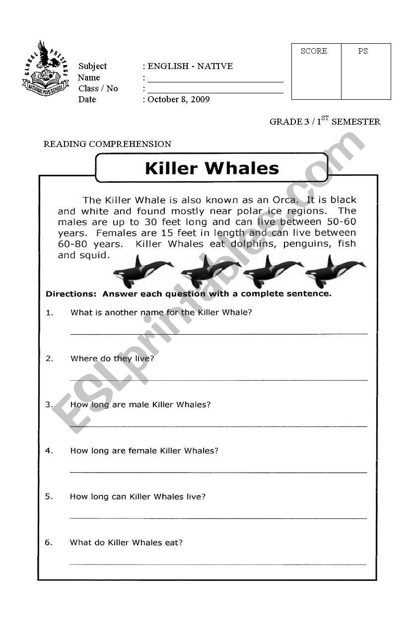 Reading Comprehension worksheet