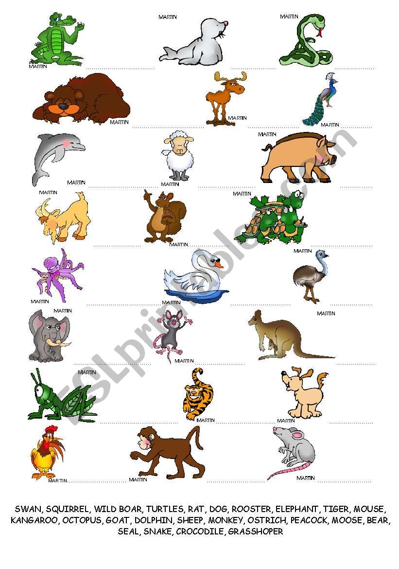 Animals writing worksheet