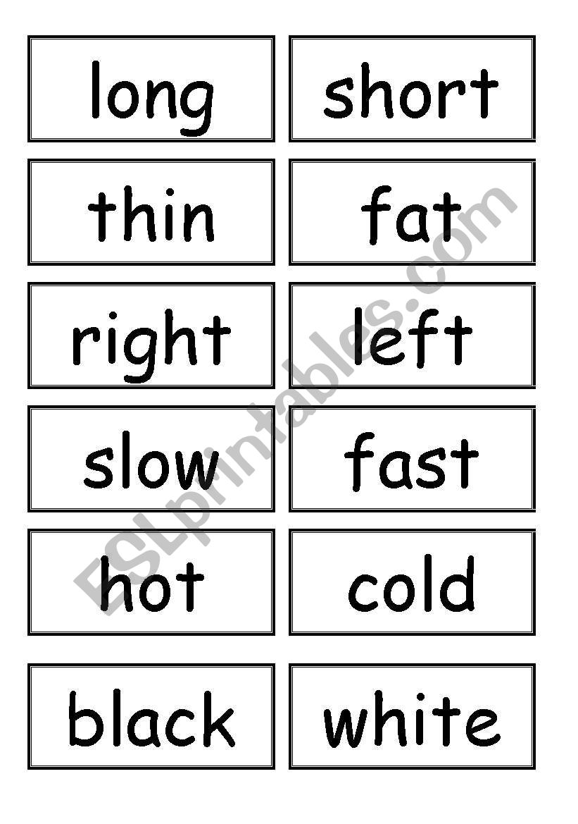 Opposites! worksheet