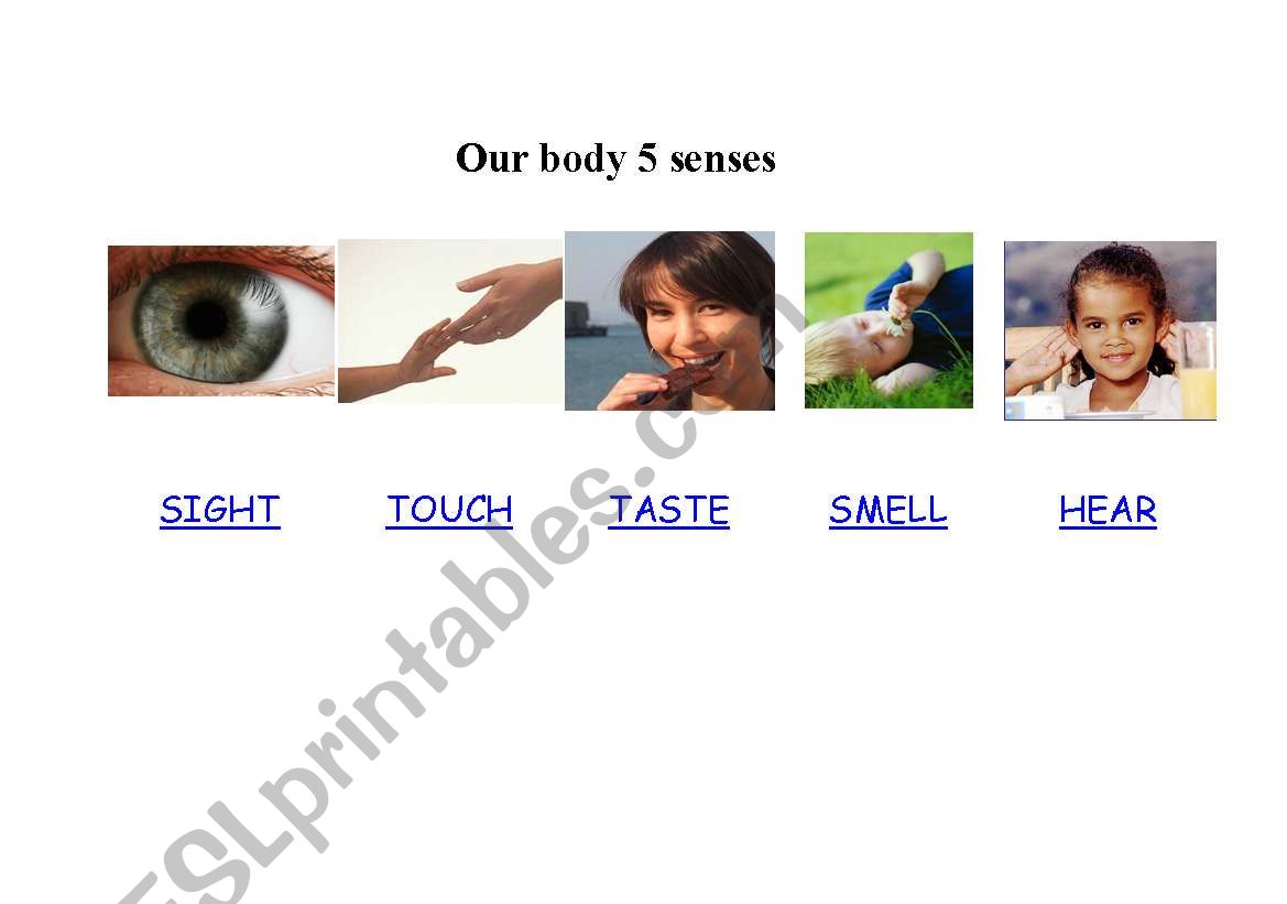 Learning about our 5 senses worksheet