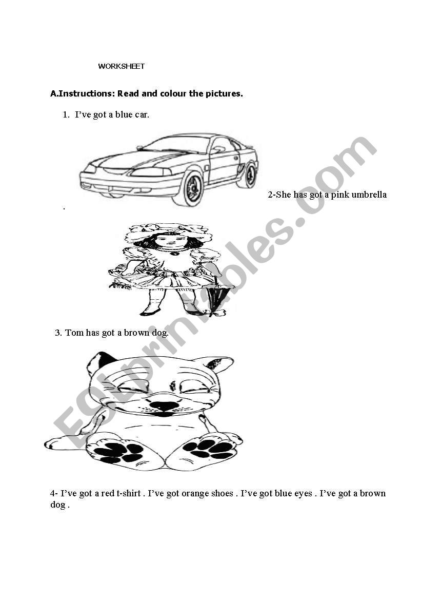 Read  and colour worksheet