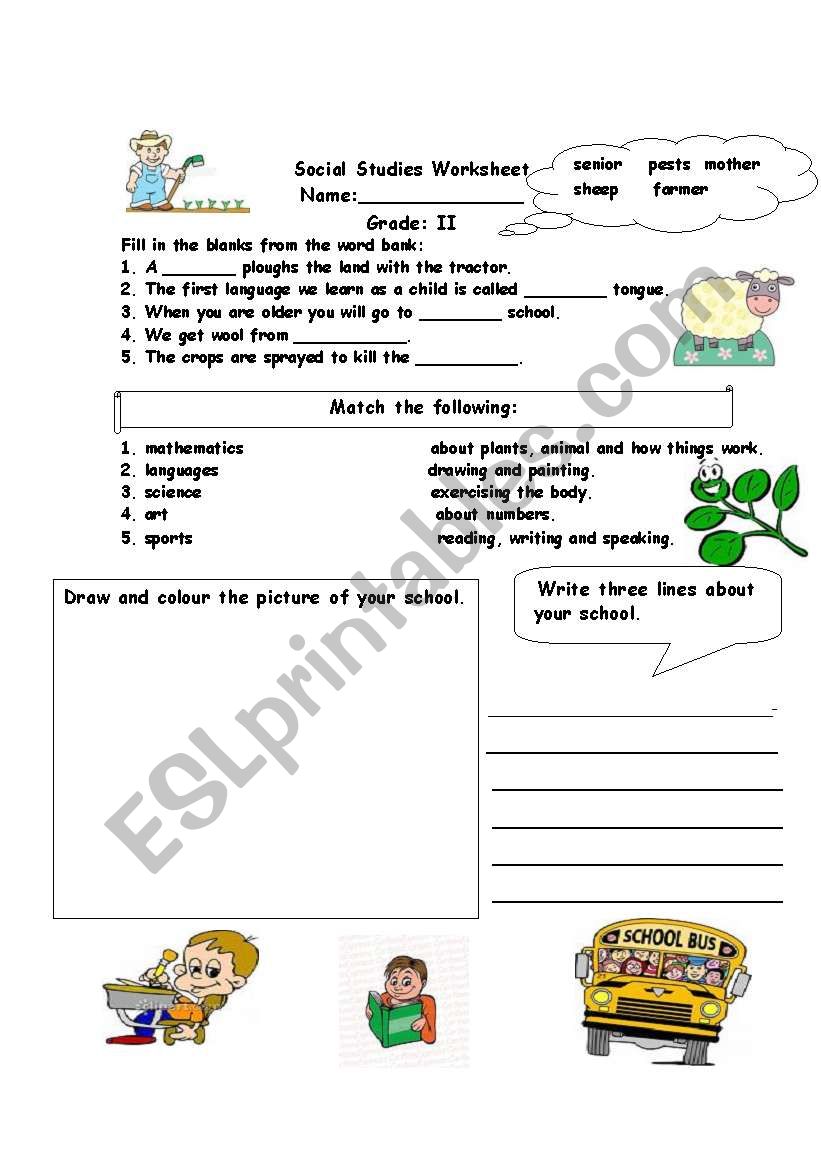 Social studies assessment worksheet