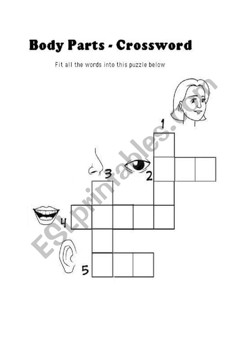 BODY PARTS CROSSWORD worksheet