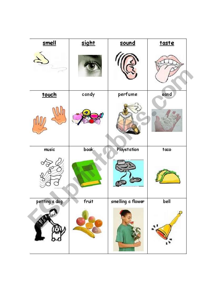 Five Senses Sort worksheet