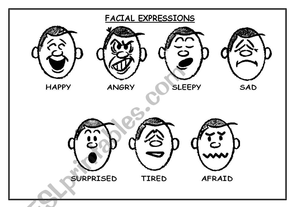 FACIAL EXPRESSIONS worksheet