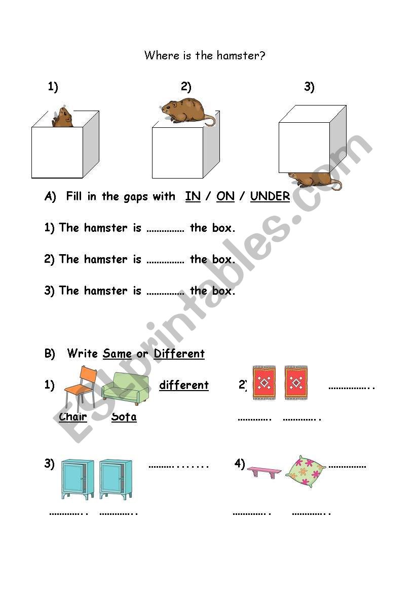 prepositions / same or different