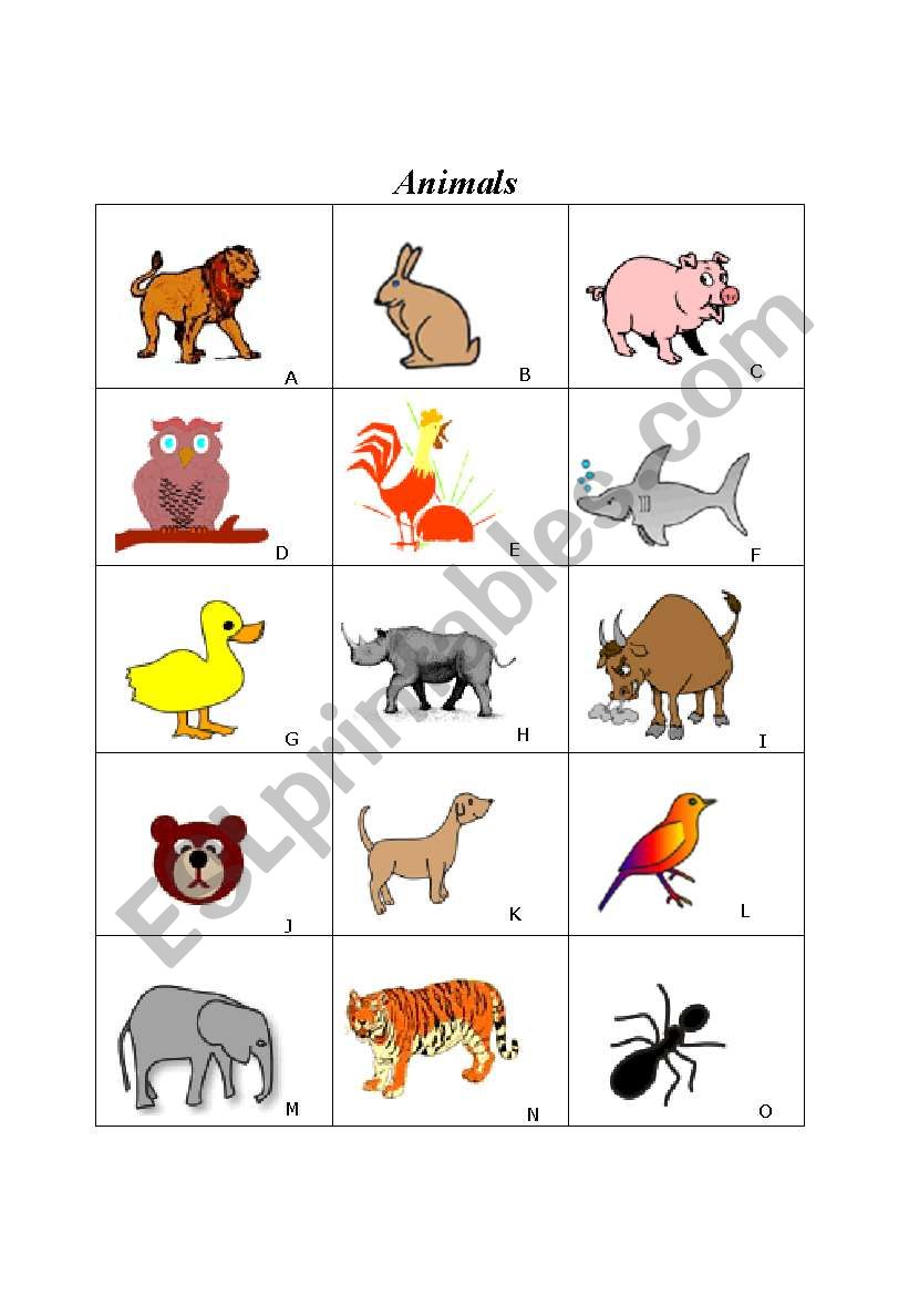 Animals worksheet