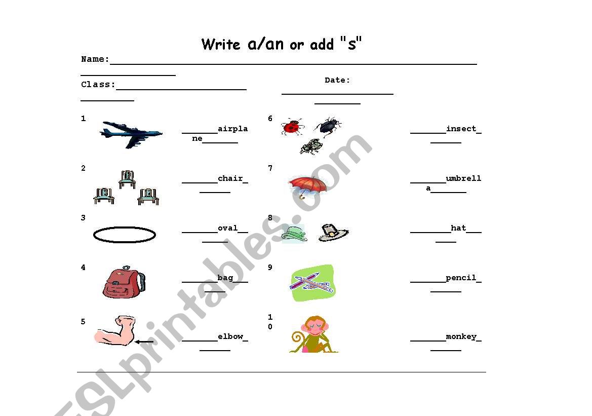 A-An Worksheet worksheet