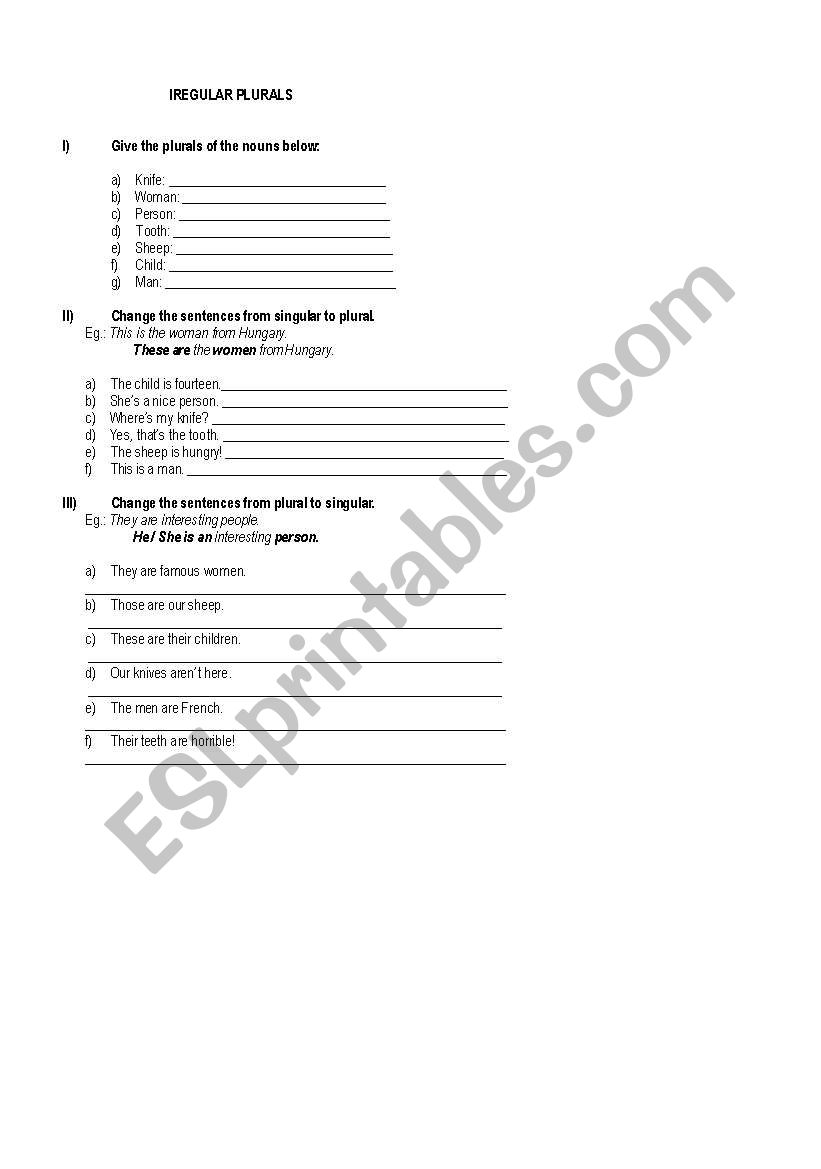 Irregular plurals worksheet