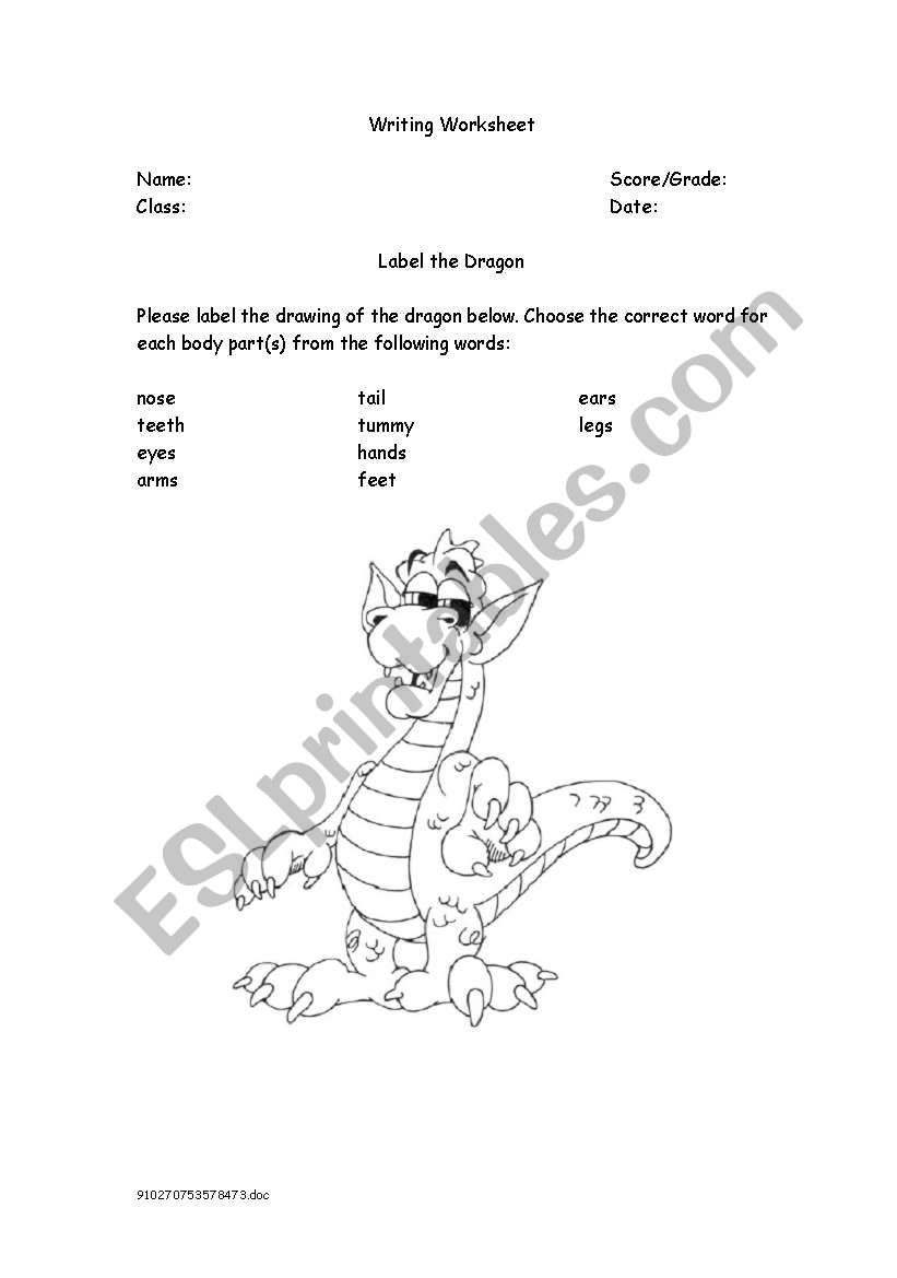 Label the Dragon worksheet