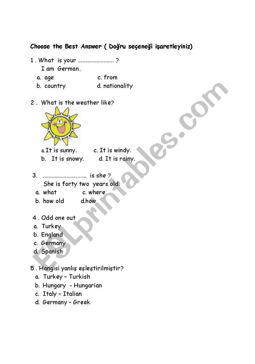 5th grade quiz worksheet