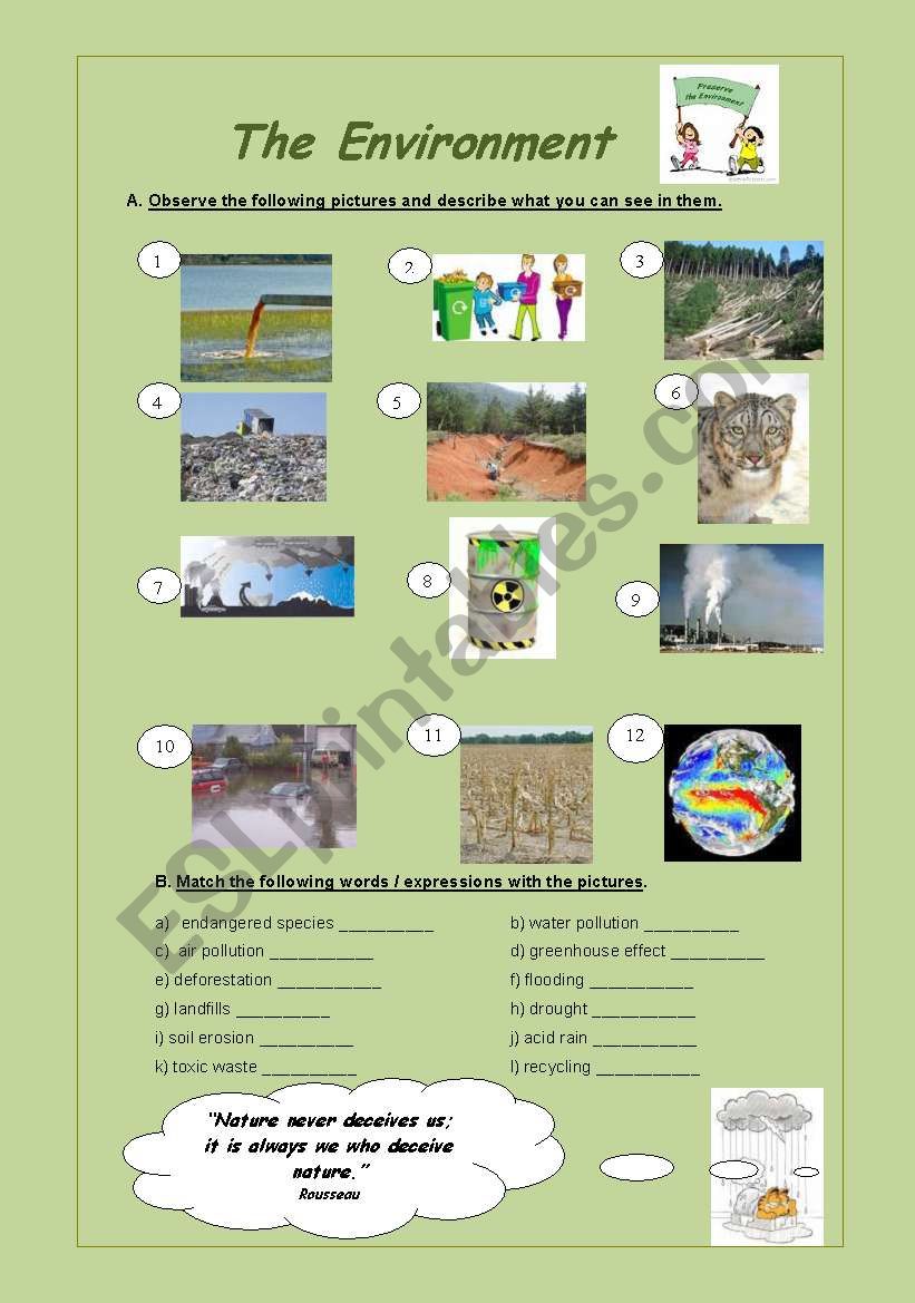 Environment and Greenpeace worksheet