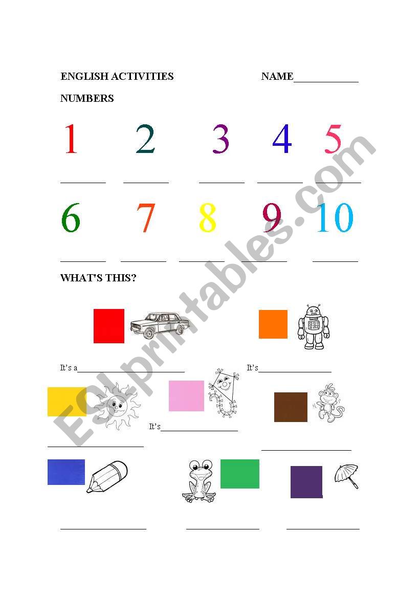 numbers and colours worksheet