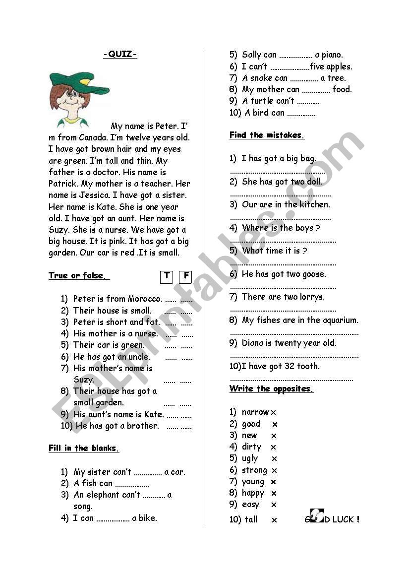 quiz for elementary students worksheet