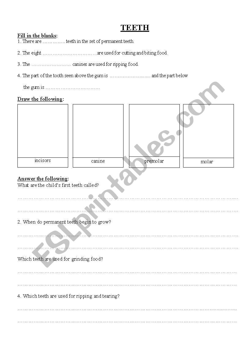 Science - Teeth worksheet