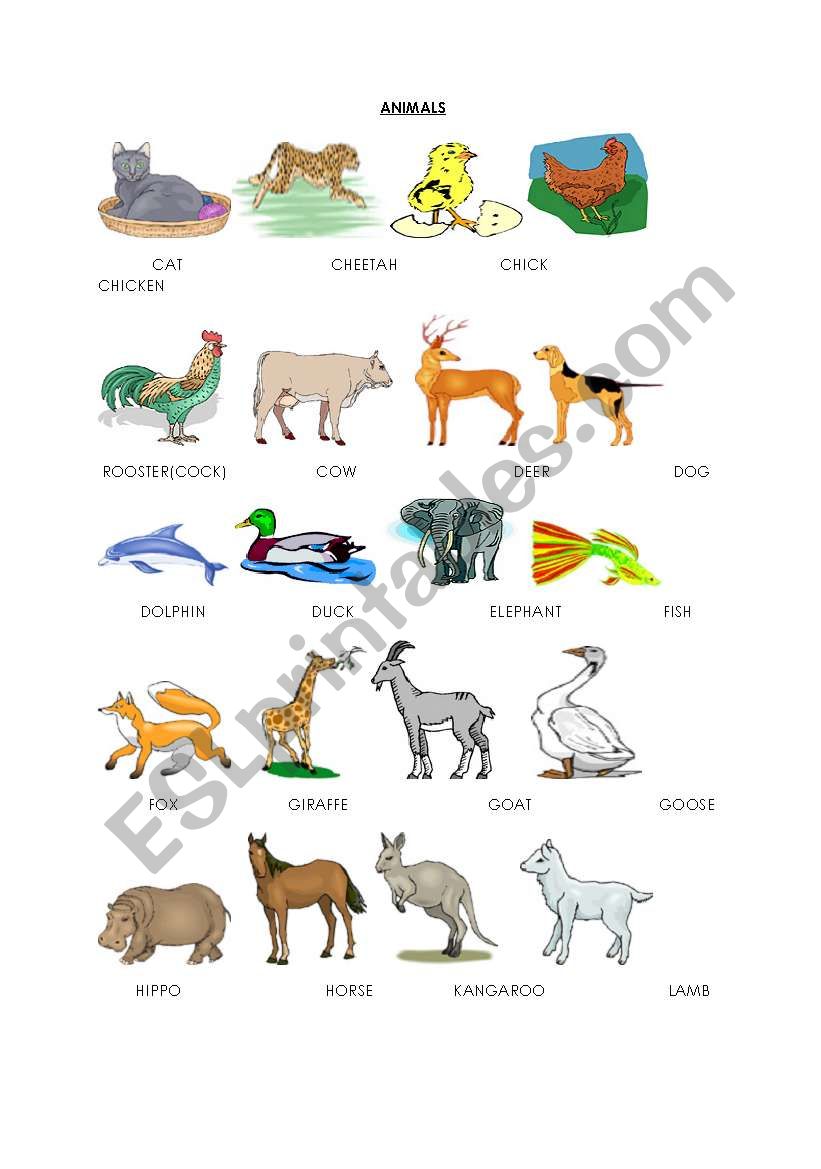 animals(pictionary) worksheet