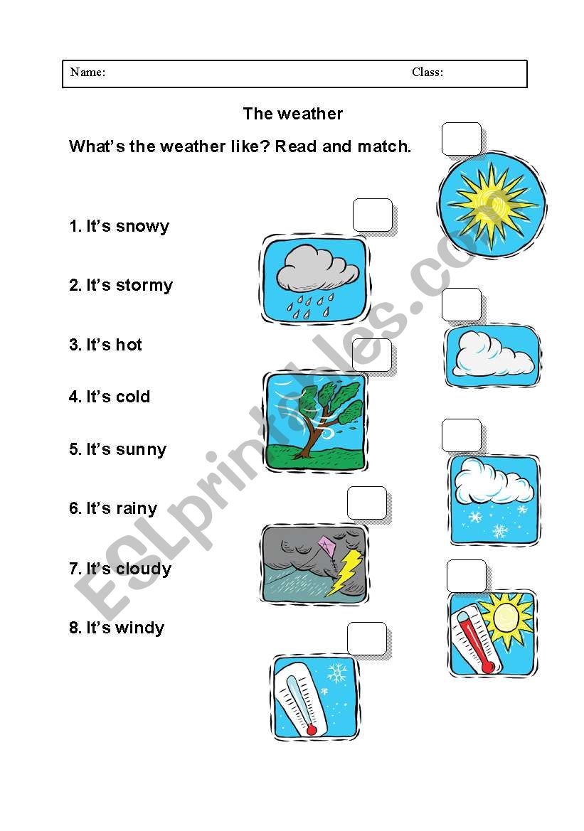 The weather worksheet