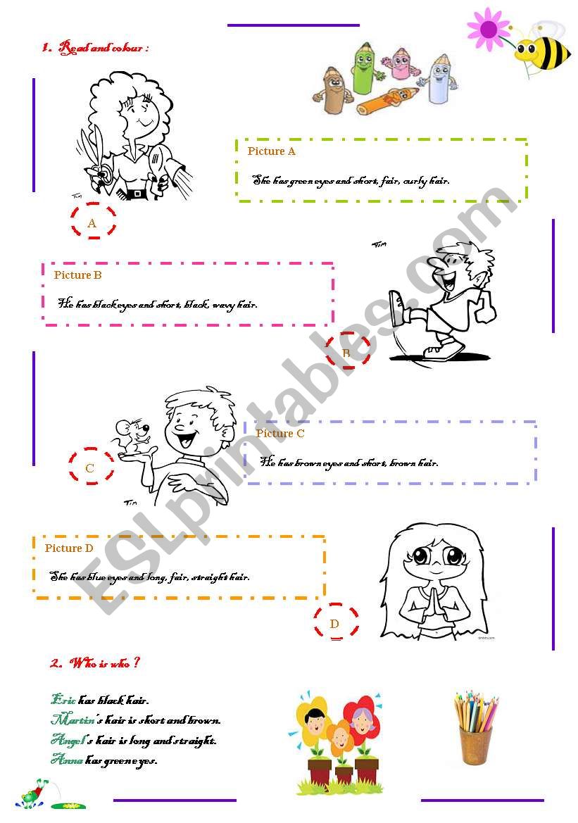 Hair and eyes worksheet