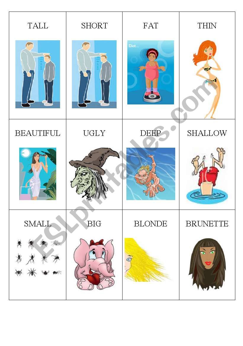 Memory Game Opposites 1 worksheet