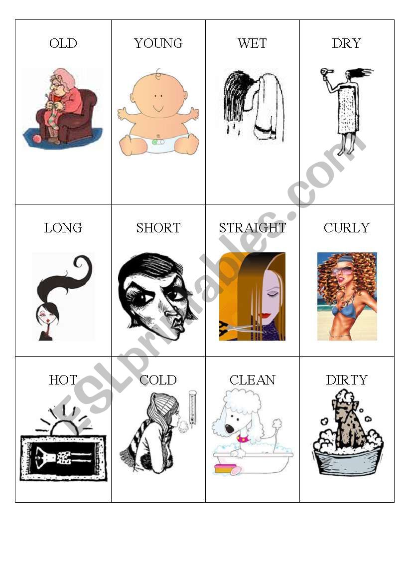 Memory Game Opposite 2 worksheet