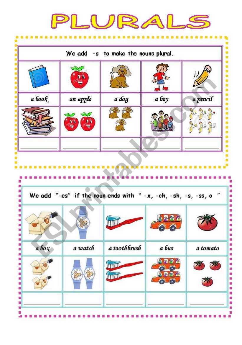 plural worksheet