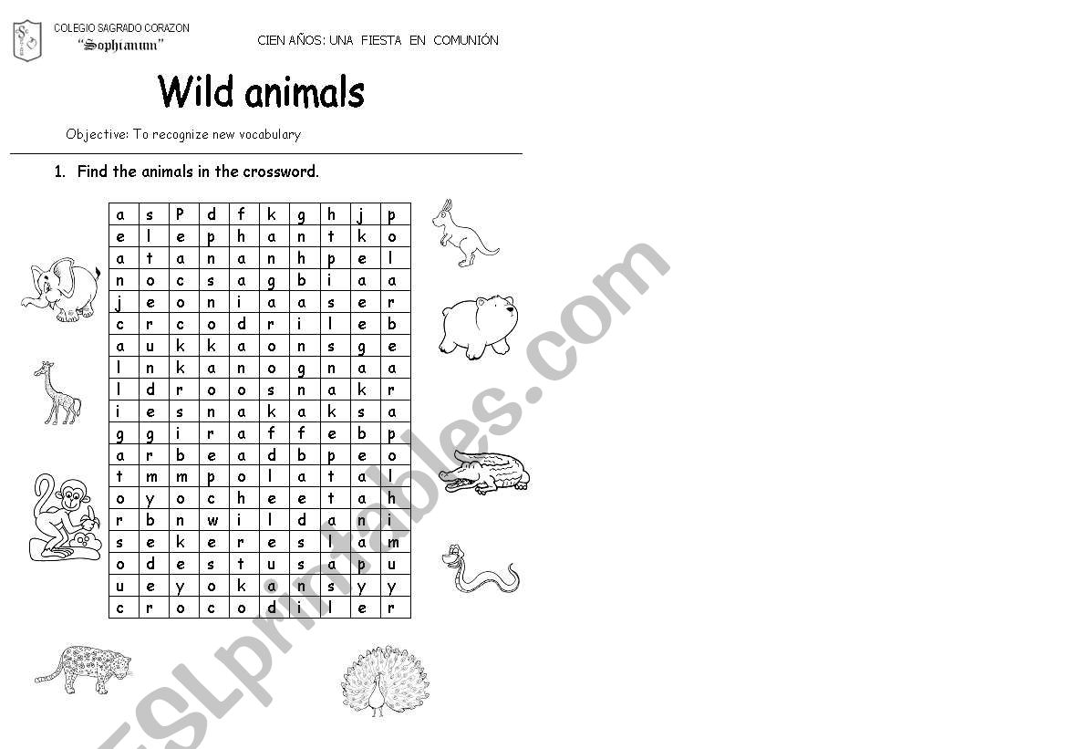 wild animals worksheet