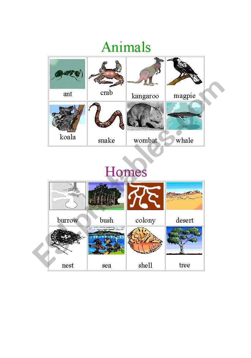 Animals and Their Homes worksheet